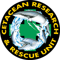 CRRU CRRU logo