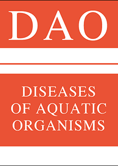 Publication cover image.