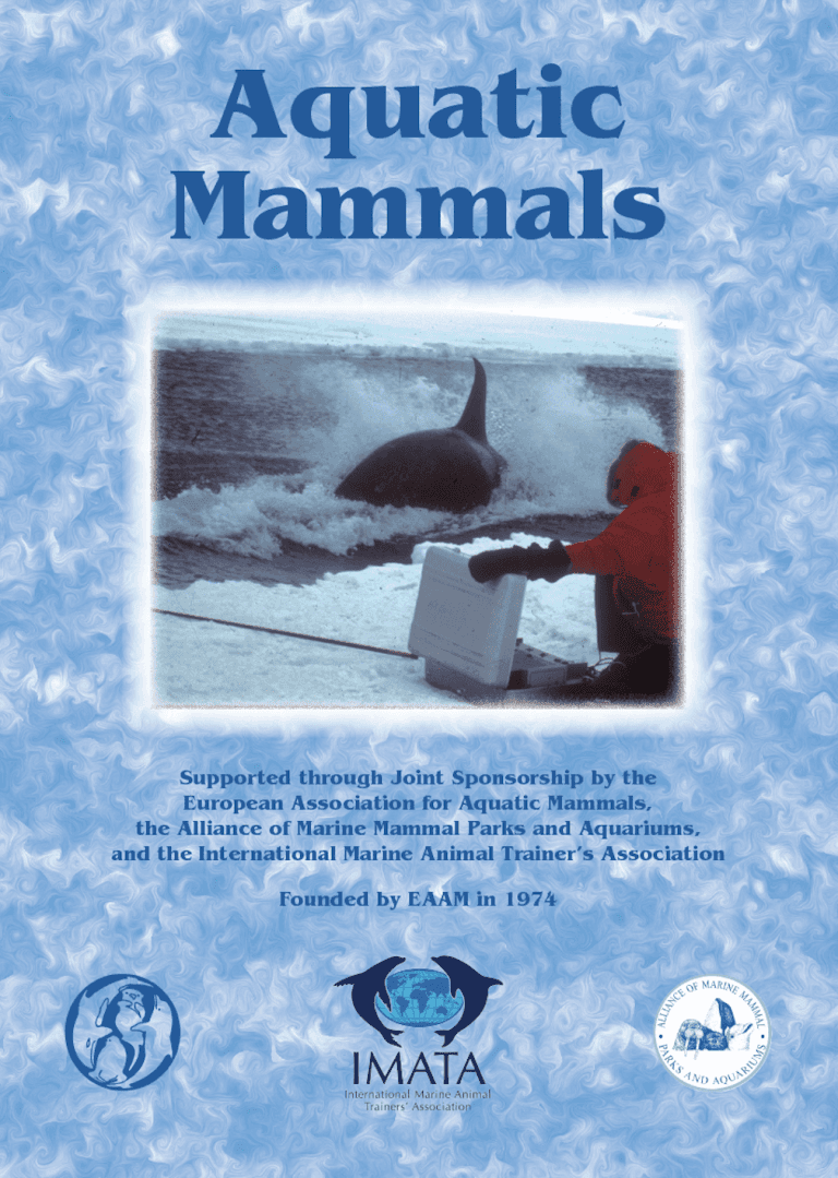 Publication cover image.