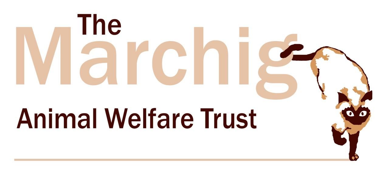 Image of Marchig Animal Welfare Trust.