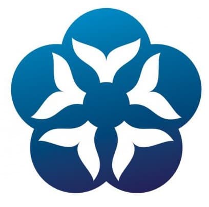 Publication cover image.