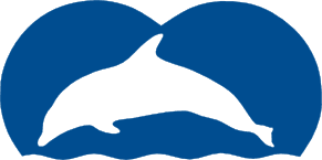 Image of Manx Whale & Dolphin Watch.