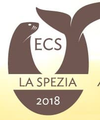 Publication cover image.