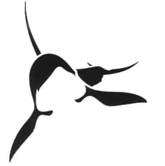 Publication cover image.