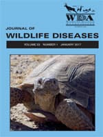 Publication cover image.