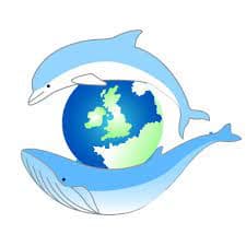 Image of The Sea Watch Foundation.